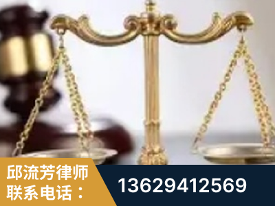 汝州-委托诉讼代理人出庭